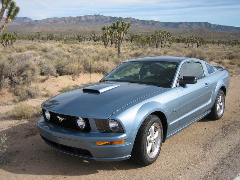 Picture of the '07 Mustang